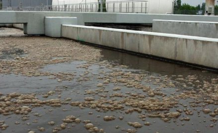 Oczyszczalnia Ścieków Pomorzany w Szczecinie