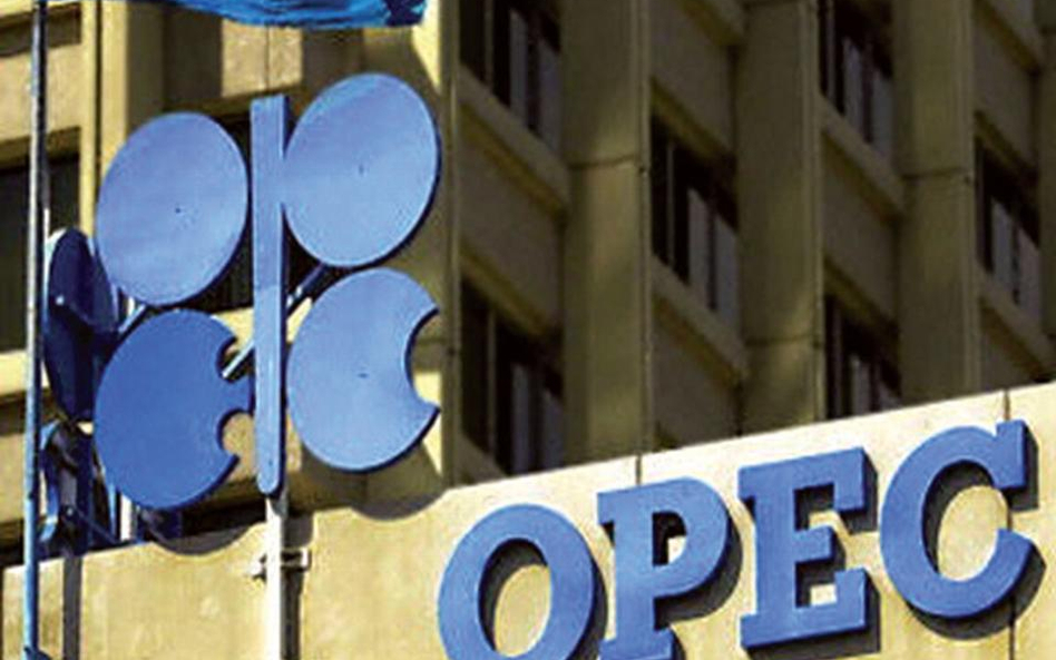 Rywalizacja o stanowiska w OPEC