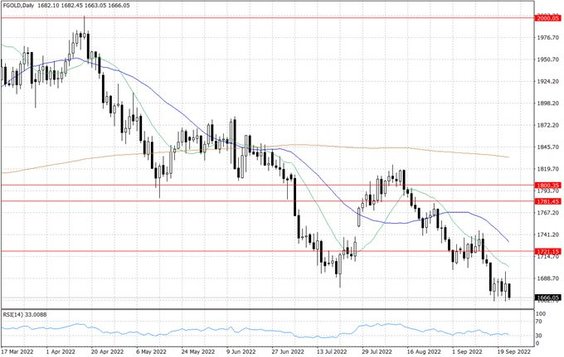 Notowania złota – dane dzienne