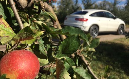 Mercedes-Benz GLC Coupe: Dla indywidualistów