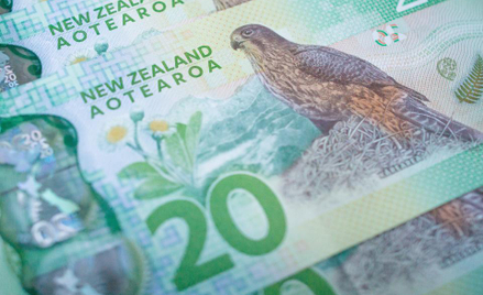 NZD tematem na wieczór