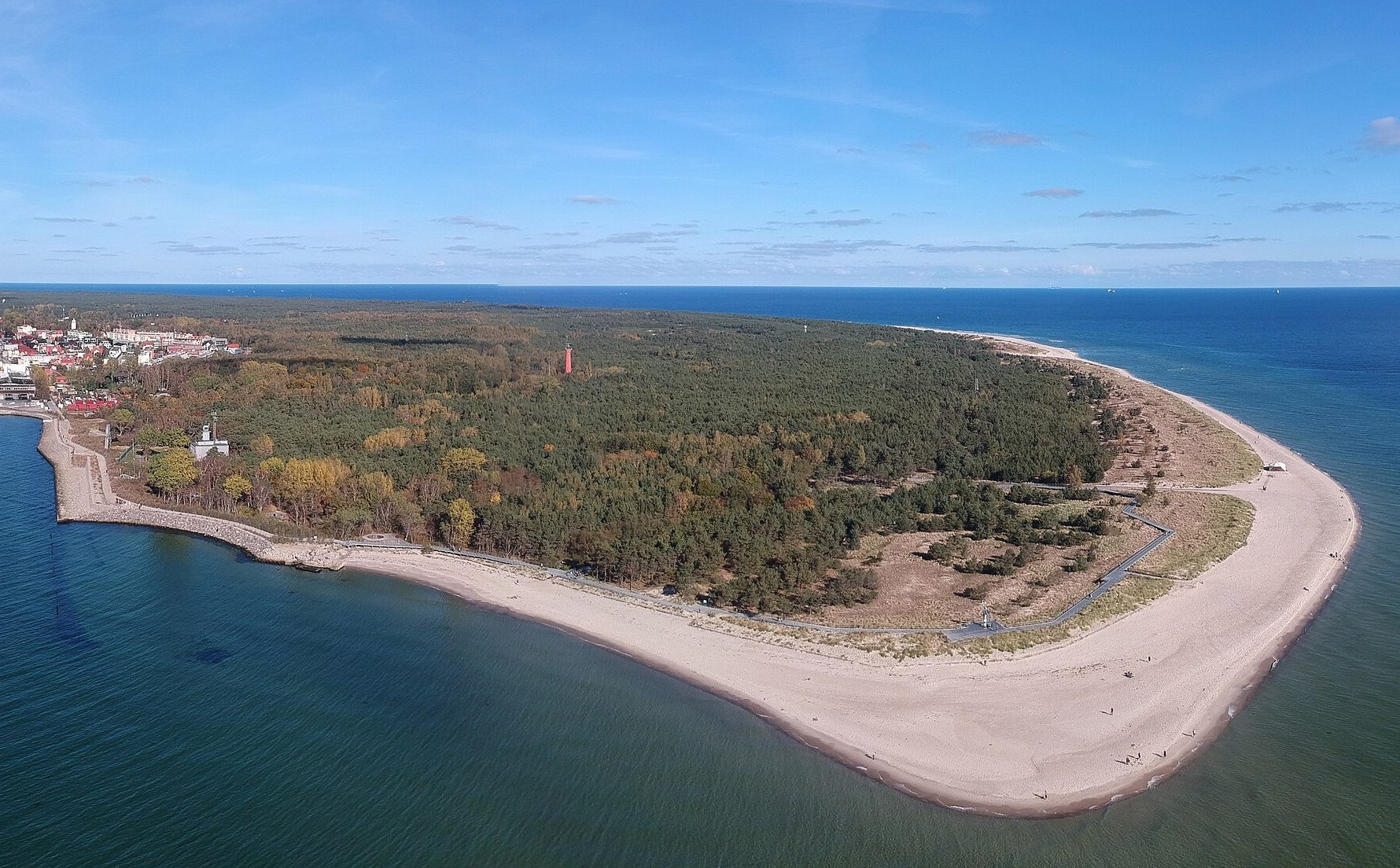 Setki drzew do wycinki na Helu. W planach nowa inwestycja, mieszkańcy oburzeni