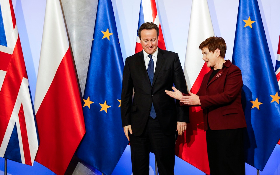 10 grudnia Beata Szydło przyjęła w Warszawie Davida Camerona. O powiązaniu baz NATO i imigracji na W