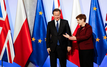 10 grudnia Beata Szydło przyjęła w Warszawie Davida Camerona. O powiązaniu baz NATO i imigracji na W