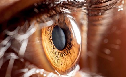 Receptory pozwalające widzieć kolor zielony i czerwony kształtują się jako ostatnie