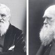 Alfred Russel Wallace (1823–1913) i Karol Robert Darwin (1809–1882)