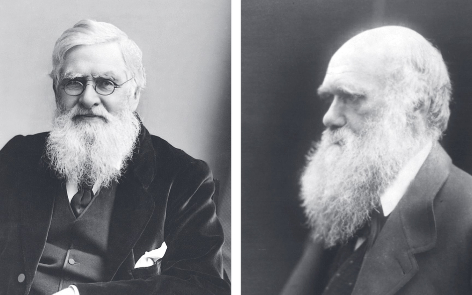 Alfred Russel Wallace (1823–1913) i Karol Robert Darwin (1809–1882)