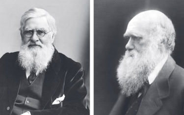 Alfred Russel Wallace (1823–1913) i Karol Robert Darwin (1809–1882)