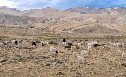 Starcie na granicy Chin z Indiami. Są ofiary