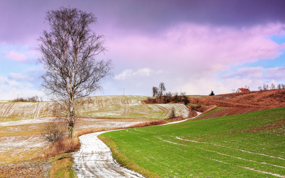 Synoptycy prognozują znaczny wzrost temperatur w najbliższych dniach