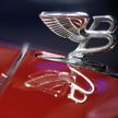 Bentley Motors ma nadzieję, że jego nowy pojazd sportowo-użytkowy podwoi sprzedaż do 2020 r.