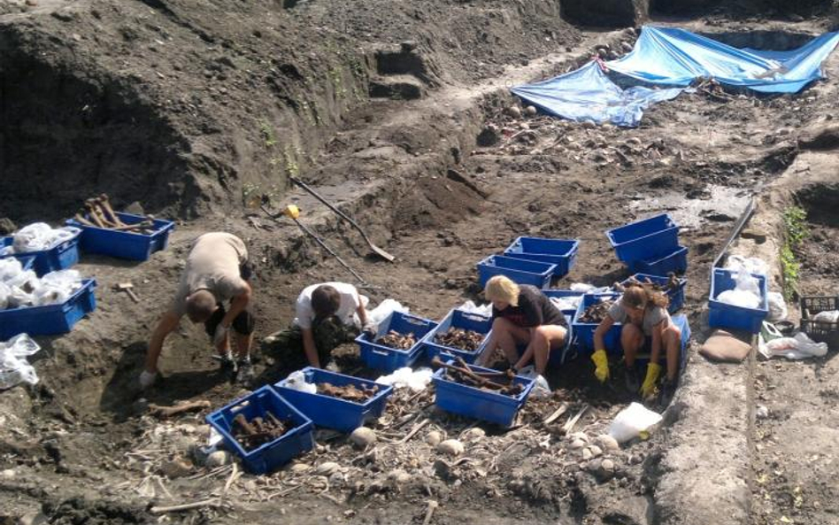 Polscy i ukraińscy archeologowie od czerwca pracują na terenie starego grodziska we Włodzimierzu Woł