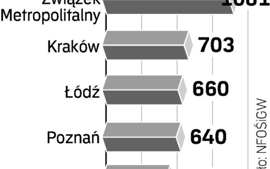 Miasta muszą się uporać z odpadami komunalnymi. Niemal każde województwo chce mieć własną spalarnię.