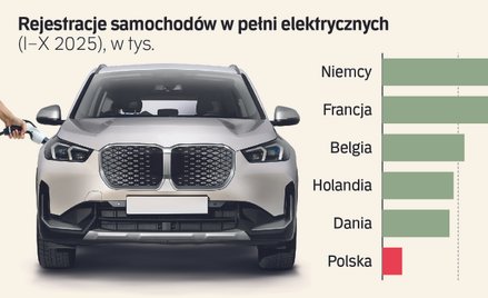 Koniec dopłat do elektryków już w styczniu? Czas na gwałtowne hamowanie