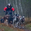 Myśliwi przegonili sportowca. "No, chyba że chcesz kulką"