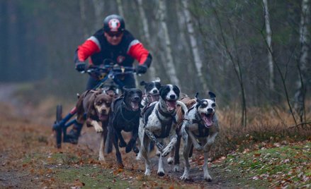 Myśliwi przegonili sportowca. "No, chyba że chcesz kulką"