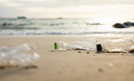 Na co dzień Niemcy deklarują troskę o klimat i środowisko, jednak podczas wakacji ekologiczne nawyki