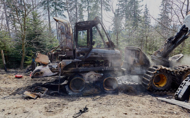 "Zielony Front" spalił w lesie harwester. Greenpeace potępia