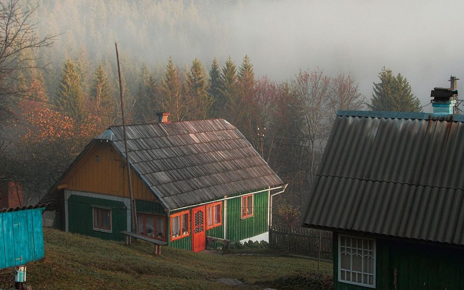 Poranek w Karpatach, Ukraina, 2013 r.