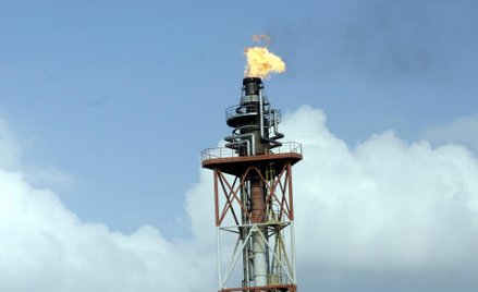 Orlen sobie, Lotos sobie...