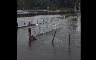 Nowa Zelandia: W dwa dni tyle deszczu co w miesiąc. Powodzie