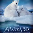 Arktyka 3D w kinach IMAX