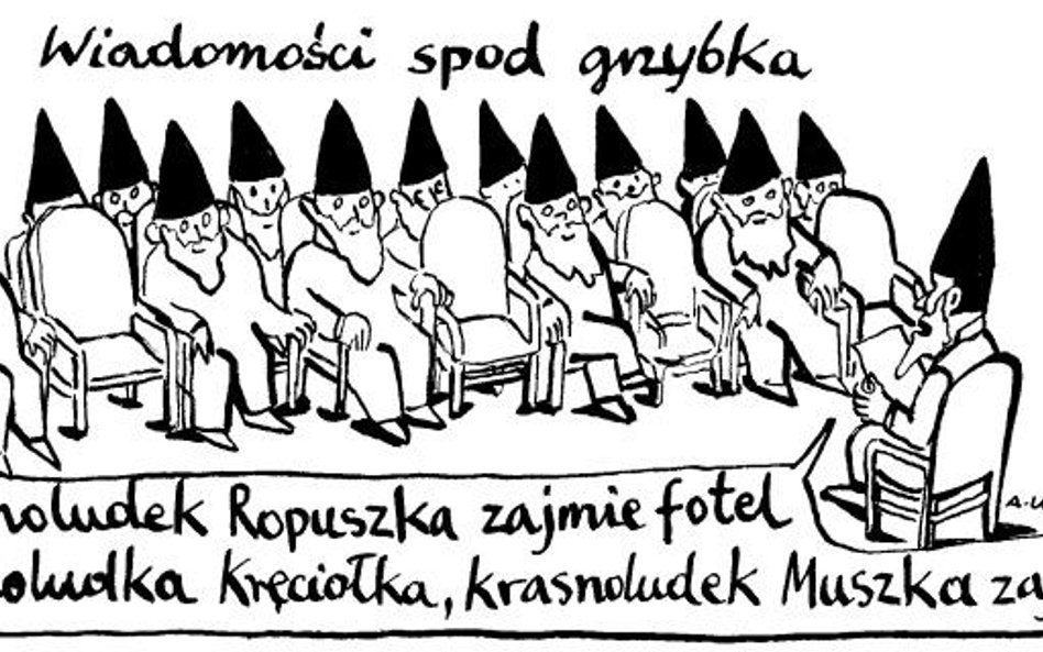 Komentarz rysunkowy