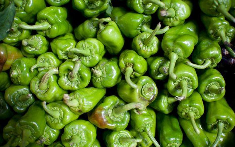 Coraz więcej zakazanych towarów z Unii trafia do Rosji przez Białoruś. Najwięcej pochodzi z Polski