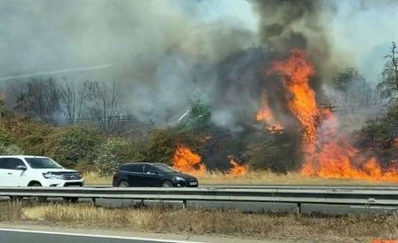Potężne pożary w Wielkim Londynie