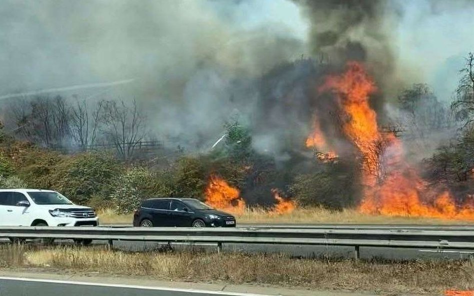 Potężne pożary w Wielkim Londynie