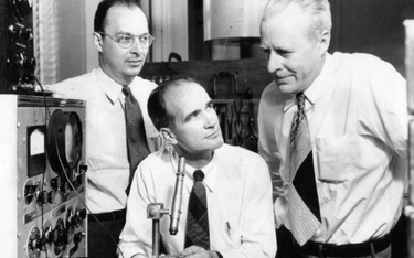 Od lewej: John Bardeen, William B. Shockley i Walter H. Brattain, wynalazcy tranzystora, w 1956 r. o