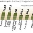 Najwięksi w branży dystrybucji stali