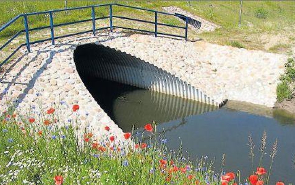 Tunel dla żab na trasie Konin – Nowy Tomyśl