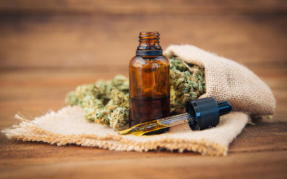 Medyczna marihuana w polskich aptekach