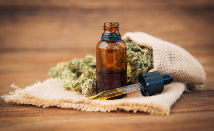 Medyczna marihuana w polskich aptekach