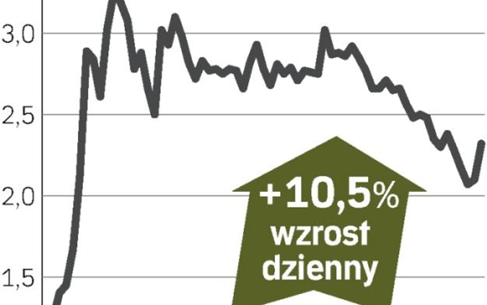 Dzień spółek Romana Karkosika