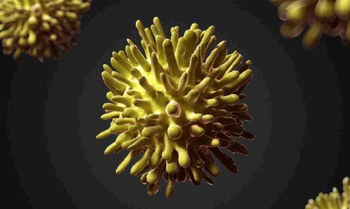 Możemy całkowicie wyeliminować Wirusowe Zapalenie Wątroby typu C rp.pl