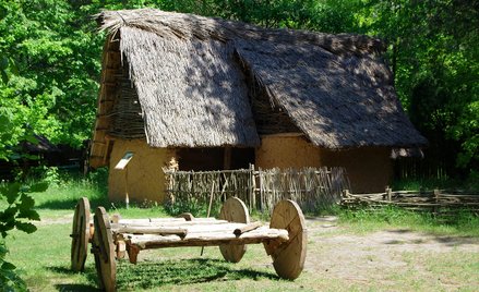 Krzysztof Kowalski: Swoje rzeczy wiedzieć – obowiązek