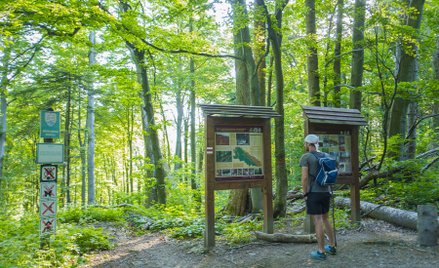 Słowackie Połoniny oferują wędrówki bez tłumów_Andrej Šuty