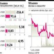 Wa­sko: II?półro­cze ma być du­żo lep­sze
