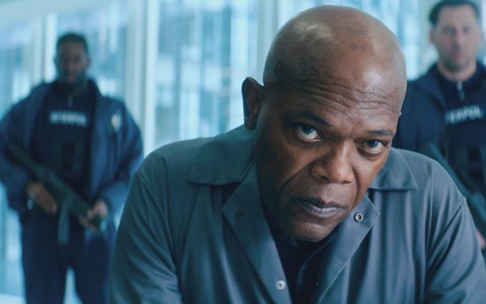 Bodyguard Zawodowiec