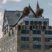 Autorem niecodziennego pomysłu jest Philippe Starck, znany francuski projektant.