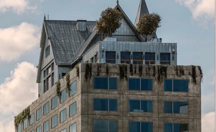 Autorem niecodziennego pomysłu jest Philippe Starck, znany francuski projektant.
