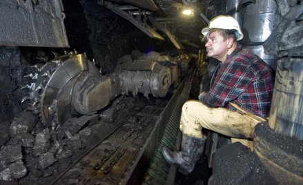 Oszuści podbili kurs Bumechu