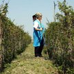 Zakupy u rolników pozwolą zmniejszyć przychód