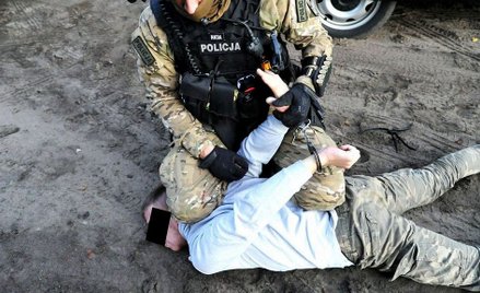 Policja kilka razy w roku organizuje duże operacje wymierzone w „sieciowych” pedofilów