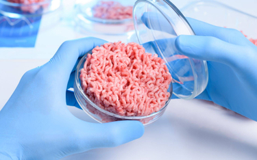 Chiny coraz bardziej otwarte na mięso in vitro