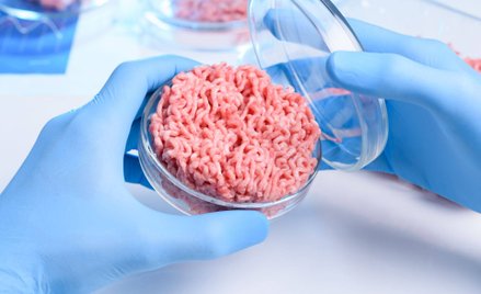 Wielu producentów żywności inwestuje w białko wegańskie