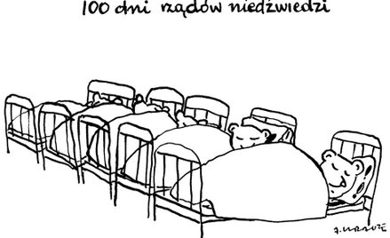 Komentarz rysunkowy. Sto dni rządów niedźwiedzi