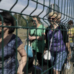 Ponad 800 tysięcy Ukraińców wyjechało do Rosji